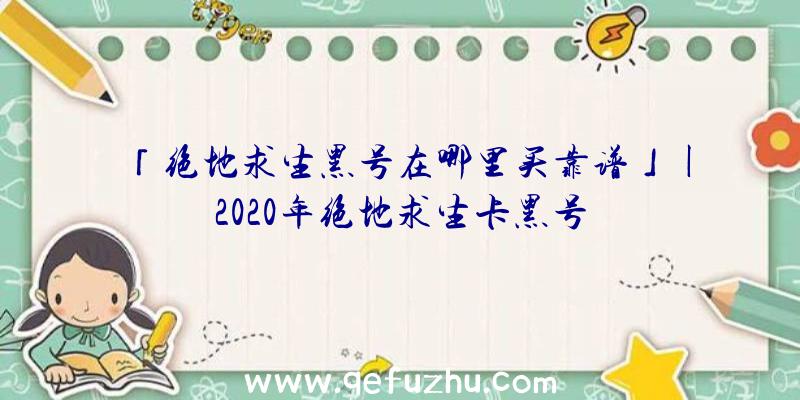 「绝地求生黑号在哪里买靠谱」|2020年绝地求生卡黑号